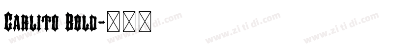 Carlito Bold字体转换